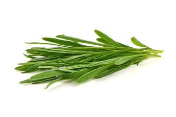 Lavender Lavandula, Herb Leaves, isolated on white background