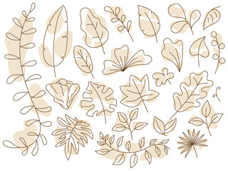 vector illustration of a collection of aesthetic leaves