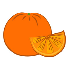 Orange illustration of ripe citrus fruit. Image of bright tropical fruit with juicy pulp.