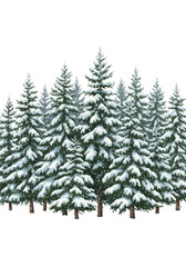 Obraz premium Dense fir tree forest with dark green needles and conical shapes, branches laden with fresh white snow, and gently falling snow, against a clean transparent background with copy space. Tranquil winter