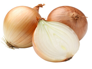 onion bulbs