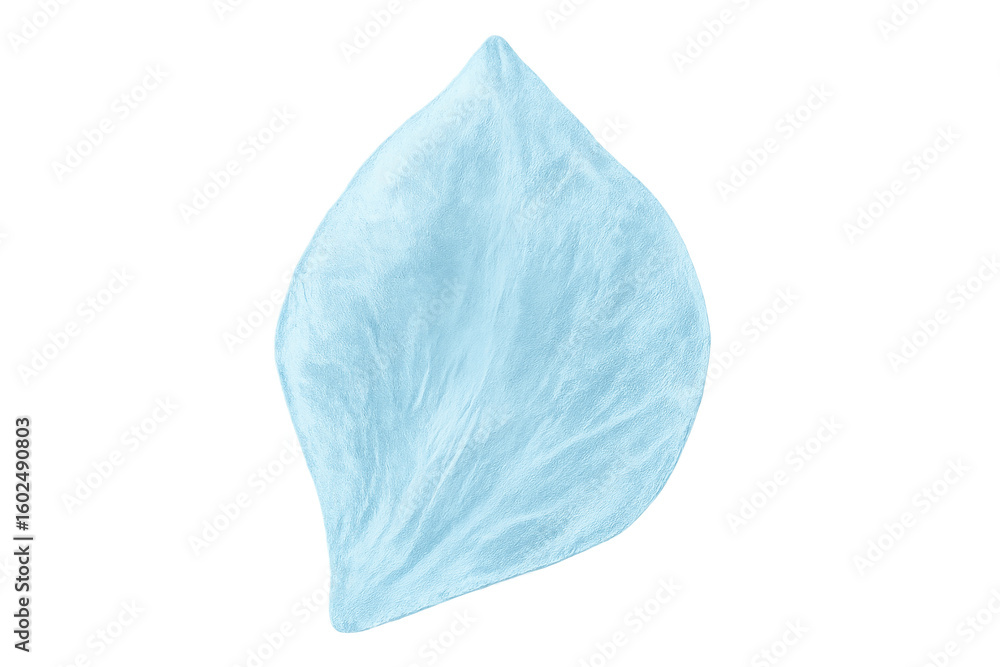 Poster light blue petal floating against transparent backdrop, highlighting soft texture for minimalist des