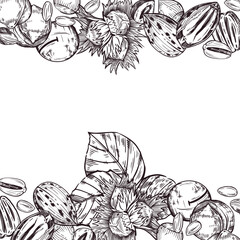 Vector frame of macadamia nuts, pecans, hazelnuts, hazelnuts, peanuts, pistachios and tree leaves. All objects are hand-drawn with ink. For printing on fabric, packaging products and cosmetics.