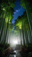Walking Through Bamboo Forest Path at Night with Stars