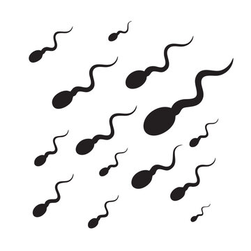 Black sperm cells swimming on white background vector
