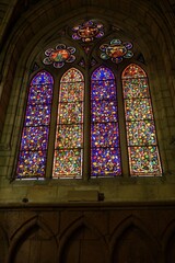 othic stained glass window with vibrant vine motifs in Catedral de Leon
