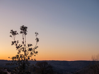 Breathtaking sunset with tree silhouette perfect for peaceful backdrops