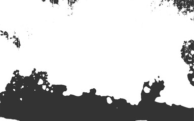 silhouette of a woman with a lot of flowers