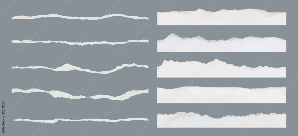 Poster set of torn paper edges on a gray background. torn paper textures in various shapes. torn paper stri