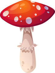 Amanita Mushroom