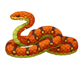 Gentle Corn Snake Coiling Isolated on Pure Background