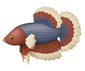 Vibrant Betta Fish with Flowing Fins Isolated on White Background