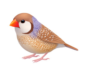 Isolated Zebra Finch Perched on a Pure White Background