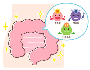 腸内環境　善玉菌　悪玉菌　日和見菌　元気な腸内