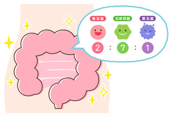 腸内環境　善玉菌　悪玉菌　日和見菌　元気な腸内
