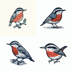 A Red breasted nuthatch. Funny Happy Retro Cartoon Clipart Silhouette Line Art Vector Illustration. Auburn front avian tiny climber bird with orange underpart nature fauna.