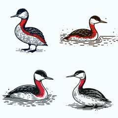 A Red necked grebe. Funny Happy Retro Cartoon Clipart Silhouette Line Art Vector Illustration. Aquatic bird having crimson throat sight this plump water fowl.