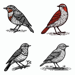 A Redwing. Funny Happy Retro Cartoon Clipart Silhouette Line Art Vector Illustration. crimson avian info and facts on blackbird variety including image habitat.