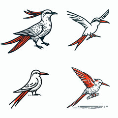A Red tailed tropicbird. Funny Happy Retro Cartoon Clipart Silhouette Line Art Vector Illustration. Tropic bird with crimson tail viewing seabird behavior at tropical location.