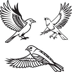 Flying Birds Silhouette Vector Set – Black and White Bird Illustration for Design and Decoration