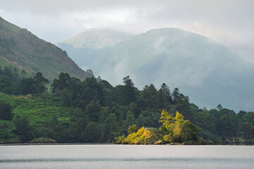 Morning sunlight on trees with dramatic view of mountains in background at Ullswater in The Lake District, UK.