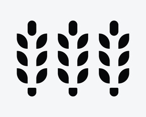 Plant Crop Wheat Grass Corn Oat Rye Barley Rice Argriculture Farmn Farming Planting Bread Seed Stalk Black White Vector Icon Sign Symbol Graphic Artwork
