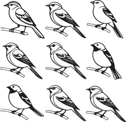 Fototapeta premium Flying Birds Silhouette Vector Set – Black and White Bird Illustration for Design and Decoration