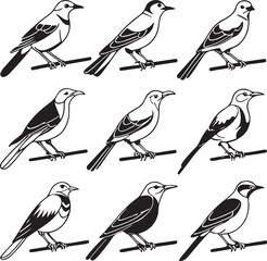 Flying Birds Silhouette Vector Set – Black and White Bird Illustration for Design and Decoration