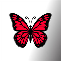 pink monarch butterfly hand drawn artwork illustration