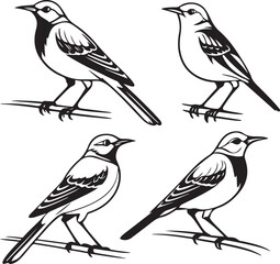 Flying Birds Silhouette Vector Set – Black and White Bird Illustration for Design and Decoration