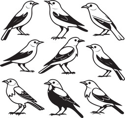 Flying Birds Silhouette Vector Set – Black and White Bird Illustration for Design and Decoration