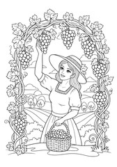 Obraz premium A young woman collects ripe grapes in a basket. coloring book