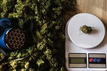 Cones of cannabis flowers on the scales. Measuring of Buds of medical marijuana. Weighing marijuana for sale. The legalization of soft drugs. Dealer sells drug bag. Black market of drugs trade