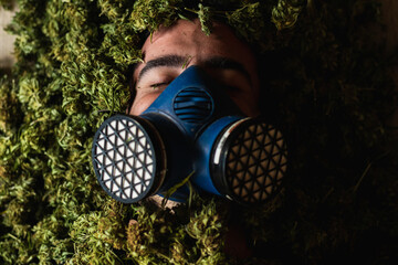Rare view of man with gas mask covered with weed buds of cannabis