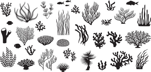 Coral Reef and Seaweed Sketch Set – Underwater, Ocean, Marine, Nature, Coral, Algae, Reef, Biology, Sea Life, Vintage, Science, Line Drawing, Aquatic Decor © pankaj