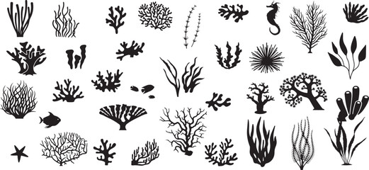Coral Reef and Seaweed Sketch Set &ndash; Underwater, Ocean, Marine, Nature, Coral, Algae, Reef, Biology, Sea Life, Vintage, Science, Line Drawing, Aquatic Decor