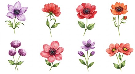 Vibrant Watercolor Anemones & Flowers: Botanical Art Collection
