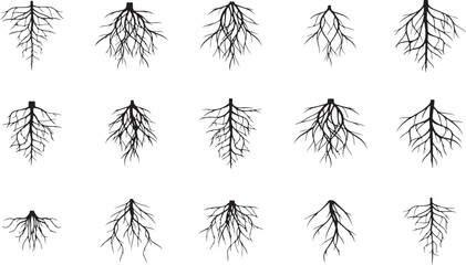 Tree Root Silhouette Vector Set &ndash; Roots, Tree, Nature, Growth, Underground, Forest, Element, Plant, Organic, Root System, Ecology, Soil, Black, Silhouette, Design