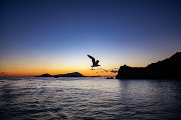 landscape, cielo napoli castel dell'ovo, gabbiani castello aragonese ischia, maschio angioino...