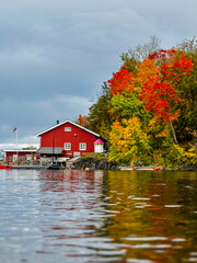 Fototapeta premium Scandinavian Autumn