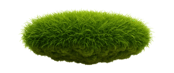 Moss cushion with vibrant green filaments and a spongy, compact form
