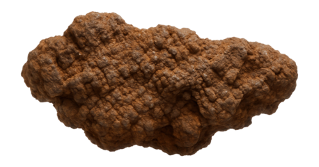 Limonite pseudomorph with earthy brown color and rough, granular texture