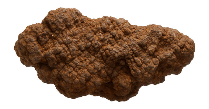 Limonite pseudomorph with earthy brown color and rough, granular texture