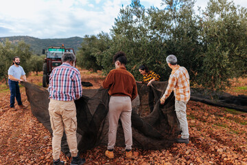 Farmers holding nets for harvesting olives in orchard