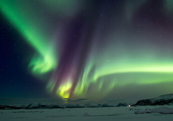 Aurora borealis over snowy landscape