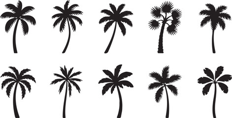 Fototapeta premium palm silhouettes