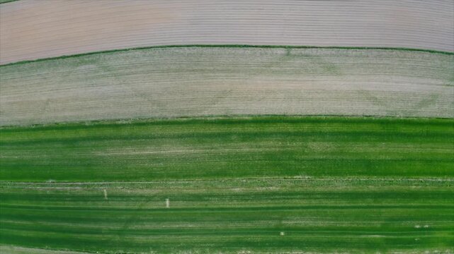 Aerial view green field agriculture land planting rows crops farm soil texture patterns nature drone photography