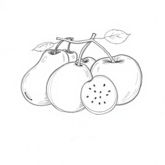 vector illustration of an apple