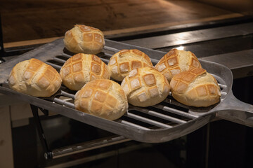 pane panini farina casatiello napoletano forno crostini pizzette sfilatino rosette ciambelle taralli food