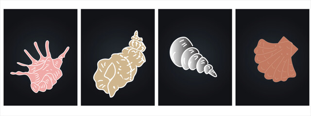 Set of hand-drawn seashell illustrations with dark background. Elegant and minimal marine design ideal for beach themes, summer graphics, or tropical nature collections.